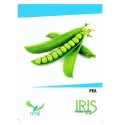 Iris Hybrid Peas Vegetable Seeds, High Yield Potential, For Balcony And Terrace (15 Seeds)