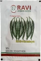 Ravi Seed F1 Hybrid RHS Himalaya Chilli Seed, Glossy Deep Green Color And Medium Pungency