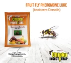 Chipku - Pheromone Ecomax Trap with Fruit Fly Lure (Bactrocera Dorsalis) Attract Targeted Pest Only, For Fruit and Vegetables Crops