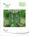 Iris F1 Hybrid IHS 120 Cucumber Seeds, Moderate Tolerant To Virus And Downy Mildew.