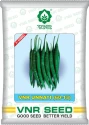 VNR F1 Hybrid Unnati (60-13) Chilli Seeds, Uniform Dark Green, High Pungency