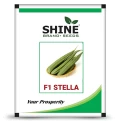 Ridge Gourd Stella F1 Hybrid - Shine Brand Seeds, Turai Ke Beej, Attractive green color