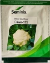 Seminis Hybrid Cauliflower Dawn-175 Seeds, Dome shaped And Compact Curd Type