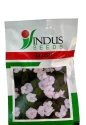 Indus Seeds Vinca Blush Flower Seed, Well Suited For Pots And Beds, Retain Color In High Sunlight