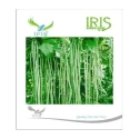 Iris Hybrid Vegetable Seeds Yardlong Beans, Valor Na Bee, Best For All Season (15 Nos.)