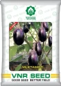 VNR Mukta Moti F1 Hybrid Brinjal Seeds, Bengan Ke Beej, Oval Fruits with Purple Calyx