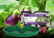 ACTIVE IPM Water Trap + Leucinodes Orbonails Pheromone Lure, Pest Control Tool For  Egg Plant Borer