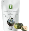 Urja F1 US 101 Hybrid Pumpkin Seeds, Ovate Shape with Freckled Green Skin Variety