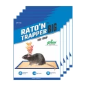 Mouse Glue Trap, Raton n Trapper, Can be use for Home, Warehouse, Agri culture, Factory, False Ceiling. Ready to use product.