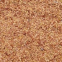 RK Seeds - Lucerne seeds, Grass Seed, Medicago Sativa seeds, Alfa seeds for sprouts , Lucerne seeds