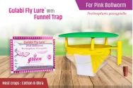 Funnel Trap With Gulabi Fly Lure (Pectinophora Gossypiella) For Pink Bollworm, Best For Cotton and Okra