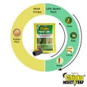 Chipku Pheromone Trap Funnel with Scriptophaga Incertulas Lure to Catch Insect, Moth Yellow Rice Stem Borer (YSB) and Brinjal Fruit & Shoot Borer Moth