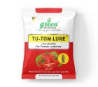 Water Pheromone Trap With TU-TOM Pheromone Lure (Tuta Absoluta ,Tomato Leafminer) for Tomato, Cherry Tomato, and Potato.