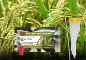 ACTIVE IPM Funnel Trap + Yellow Steam Borer Pheromone Lure , Pest Control Tool for Scirpophaga Incurtulas