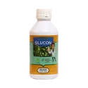 Dr. Bacto's Glucon, Nitrogen Fixes In Roots, Stems Leaves of Sugarcane Plant