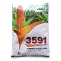 Rasi Seed F1 Hybrid 3591 Maize Seed, Big Cobs With Good Tip Filling And Non Lodging