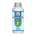 EBS Imidasecure Imidacloprid 17.8% SL Insecticide, Used To Protect Crops From Pests