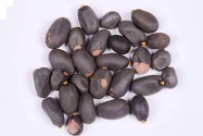  RK Seeds - Sterculia Foetida Seeds Ornamental Flower Seeds - Java Olive, Peon, Poon Tree, Sterculia Nut, Bastard Poon Tree,Sterculia foetida planting