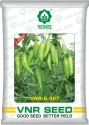 VNR G-907 F1 Hybrid Chilli Seeds, Light Green Achari Type Variety, Medium Pungency