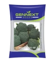 Gennext GS-181 F1 Hybrid Broccoli Seeds, High Yield, Dark Green and Superior Quality