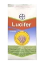 Bayer Lucifer Clodinafop Propargyl 15% WP, Post Emergence Herbicide For Control In Most Of The Important Grass Weeds In Wheat