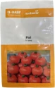 BASF Pari F1 Hybrid Tomato Seeds, Flat Round Shape, Semi Determinate Tomato Plant