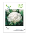 Iris Hybrid Cauliflower, Gobhi Ke Beej, Kobhi Na Bee, Phool Gobhi Ke Beej. 