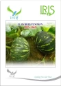 Iris Hybrid Vegetable Seeds F1 Hybrid Pumpkin IHS-060 Good for Transportation.