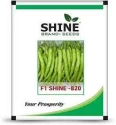 Chilli Shine 820 F1 Hybrid - Shine Brand Seeds, Mirchi Beej, Light Green Color