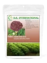 SK ORGANIC Sababul Grass Seeds For Cattle Fodder Like., Goat, Sheep, Cow, Buffalo etc.