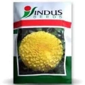 Indus Marigold Tennis Ball Seeds, Genda Fool Seeds , Lemon Yellow Colour Flower , Very Heavy Yeild , 100 Seeds Pack