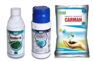 Onion Special Combo Pack for Initial Stage (Boxam 250 Gm + Carman 500 Gm + Aminox 500 ML) Sucking Pest, Purple Blotch Control & Overall Plant Growth