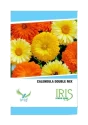 Iris Hybrid Flower Seeds Calendula Double Mix, Suitable For Gardening And Terrace.