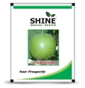 Tinda Super Globe F1 Hybrid - Shine Brand Seeds, Round Melon Seeds For Winter Season