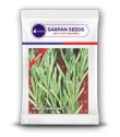 Sarpan Cluster Beans - 201 Seeds, Dark Green Color With Best Germination, For Kharif and Summer