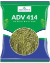 UPL Advanta ADV414 Hybrid Mustard Seeds , Indian Sarson Seeds, High Yield Potential