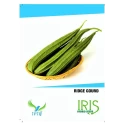 Iris Hybrid Vegetable Seeds Ridge Gourd, Turai Ke Beej, Turia Seeds, Excellent Germination, (15 Seeds)