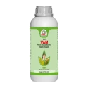 EBS VAM Bio Fertilizer (Vesicular Arbuscular Mycorrhizal) To Improve Soil Fertility In Your Farm & Garden