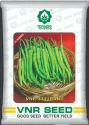 VNR 332 Rani Hybrid Chilli Seeds, Mirchi Ke Beej, Highly Pungent, Shiny and Smooth Fruits