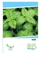 Iris Hybrid Herb Seeds Basil (70 Seeds), Tulsi Ke Beej, Perfect For All Seasons.