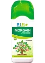 JU Morgain Biostimulant , Based on Highly Concentrated L Free Amino Acid Derived from Vegetal Origin