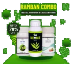 Ramban Combo (Neemz 500 ML + Forever 500 ML + NB-80 250 ML) For Initial Growth Stage Use In Any Crop