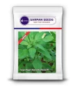 Sarpan Rajgiri Amaranthus Green 99 (Multicut Variety), Green Medium Size Leaf