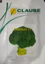 H.M Clause Fantasy F1 Hybrid Brocolli Seeds , Dark Blue-Green Broccoli, Rabi Season, Bluish Green Curd Color