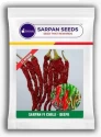 Sarpan F1 Chilli Deepa - Dual Purpose Hybrid Chilli Seeds, Green & Dark Red