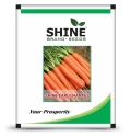 Carrot Shine Early Nantes Imported - Shine Brand Seeds, Gaajar Ke Beej, Excellent Quality