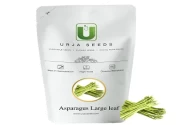 Urja Asparagus Large Leaf  Imported Seed Desired length 15-18 cms per spear