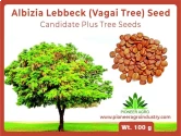 Albizia Lebbeck Fry Wood (Vagai Seed) Women's Tongue Tree Seed 100 Gram, Medium Germination 