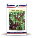 Sungro Pragati F1 Hybrid Brinjal Seeds, Chu Chu Seeds, Purple Color Fruit and Oval Shape