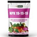 NPK 19:19:19 Water Soluble Fertilizer For Plants And Vegetables For Fast Growth And Flowering.